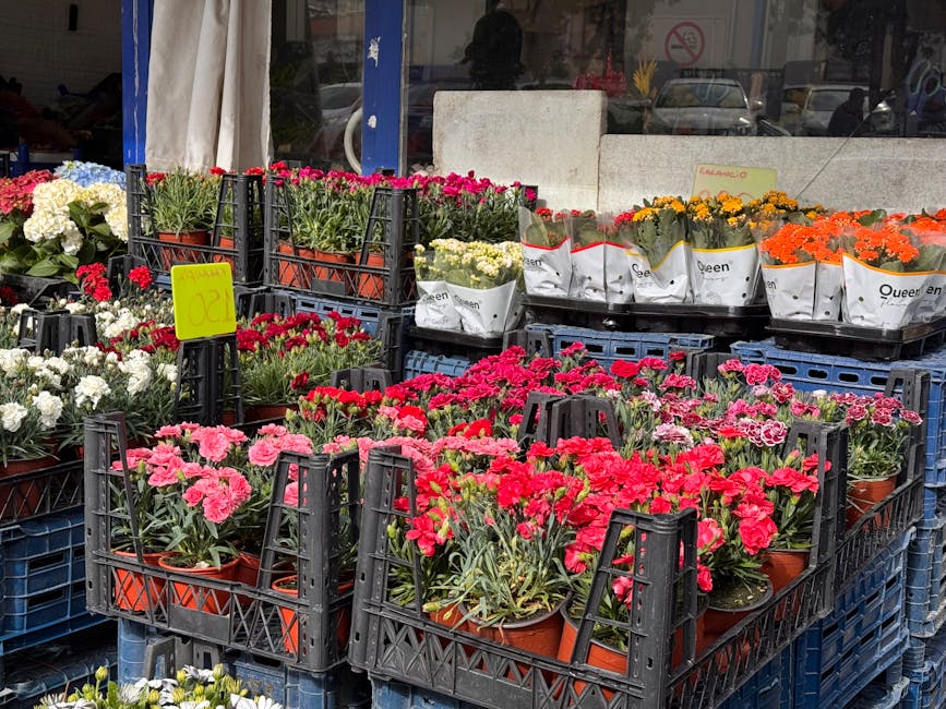 A display of various potted flowers outside a florist shop, including bright pink and red carnations arranged in black plastic crates, with white and purple flowers in the background. The flowers are 